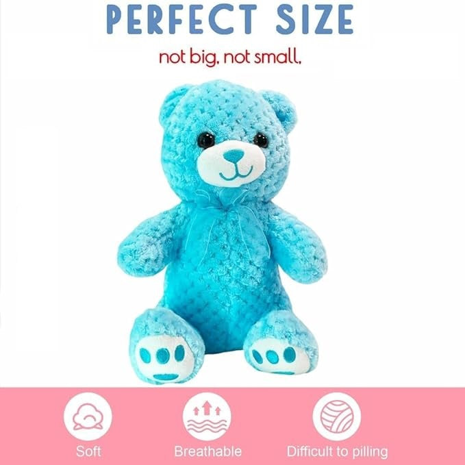 Bear Plush Toy