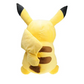 Pokemon Soft Plush